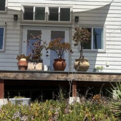 Beautiful Tiny Home for Sale with Delivery Available