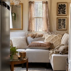Beautiful Move-In Ready Tiny Home – Park or Relocate - Image 9